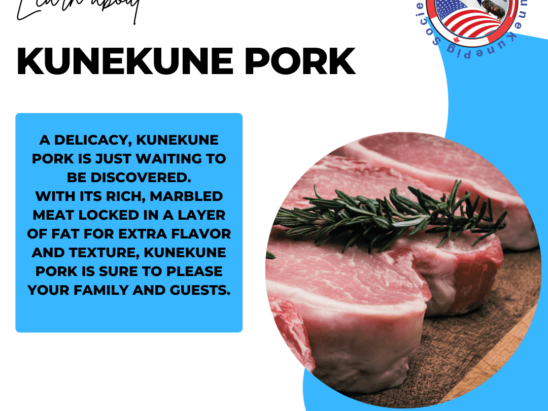 KuneKune pork - purchase KuneKune pork