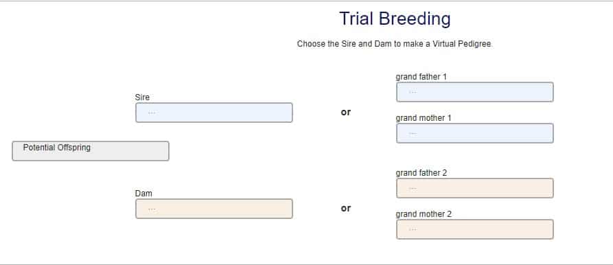 trial breeding for KuneKunes