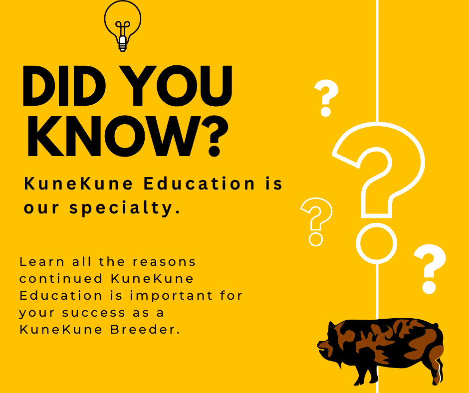 Kunekune Education