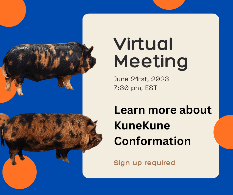 Virtual Meeting event
