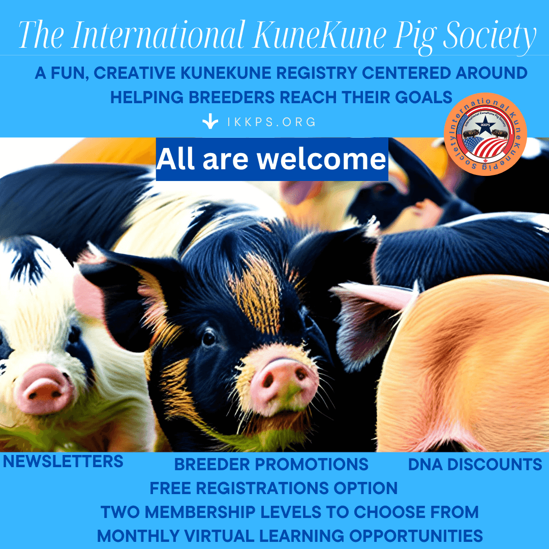 Join IKKPS - Official KuneKune Registry