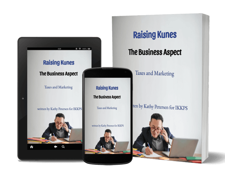 The Business Aspect of Raising KuneKune pigs
