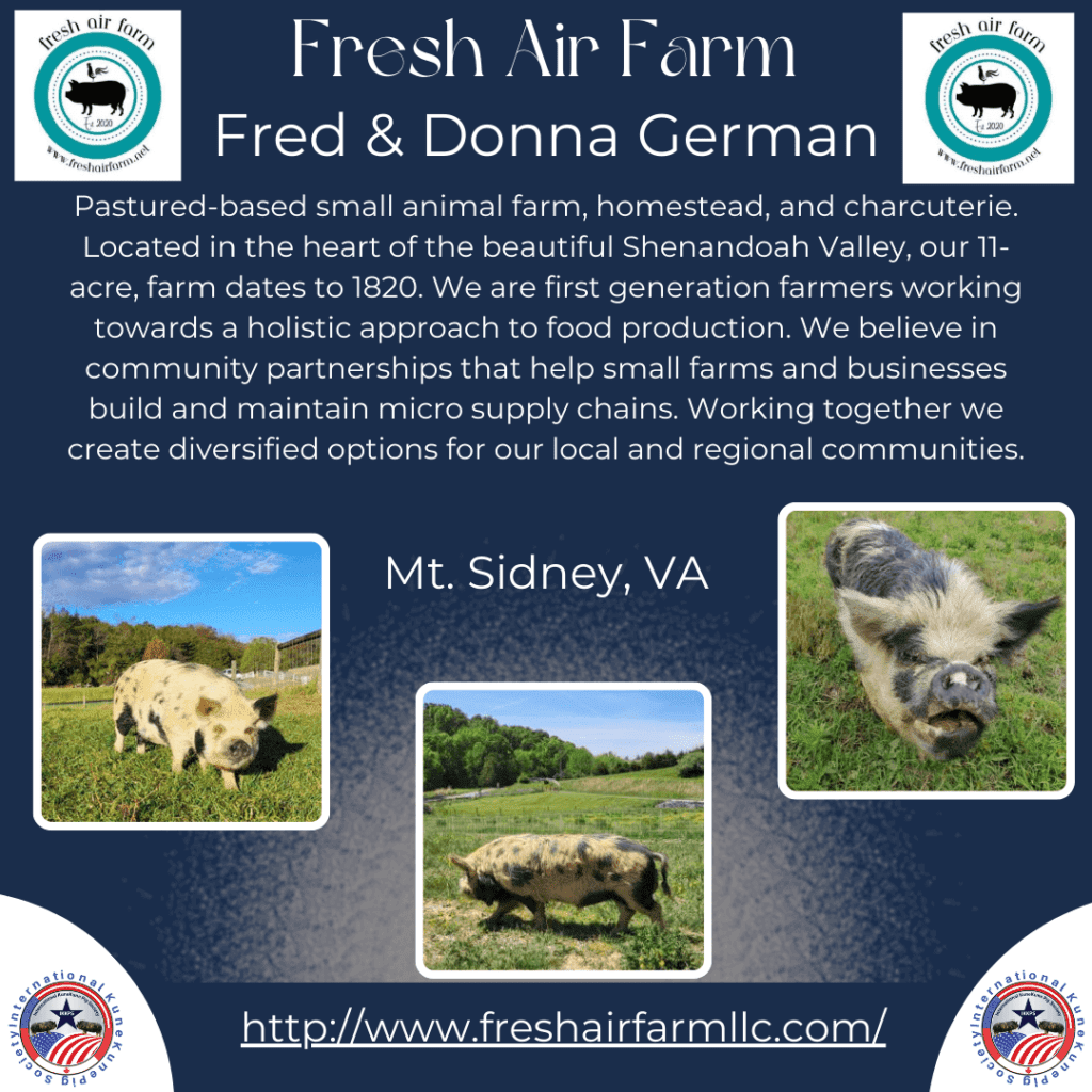 Fresh Air Farm - KuneKune Breeder located in Virginia