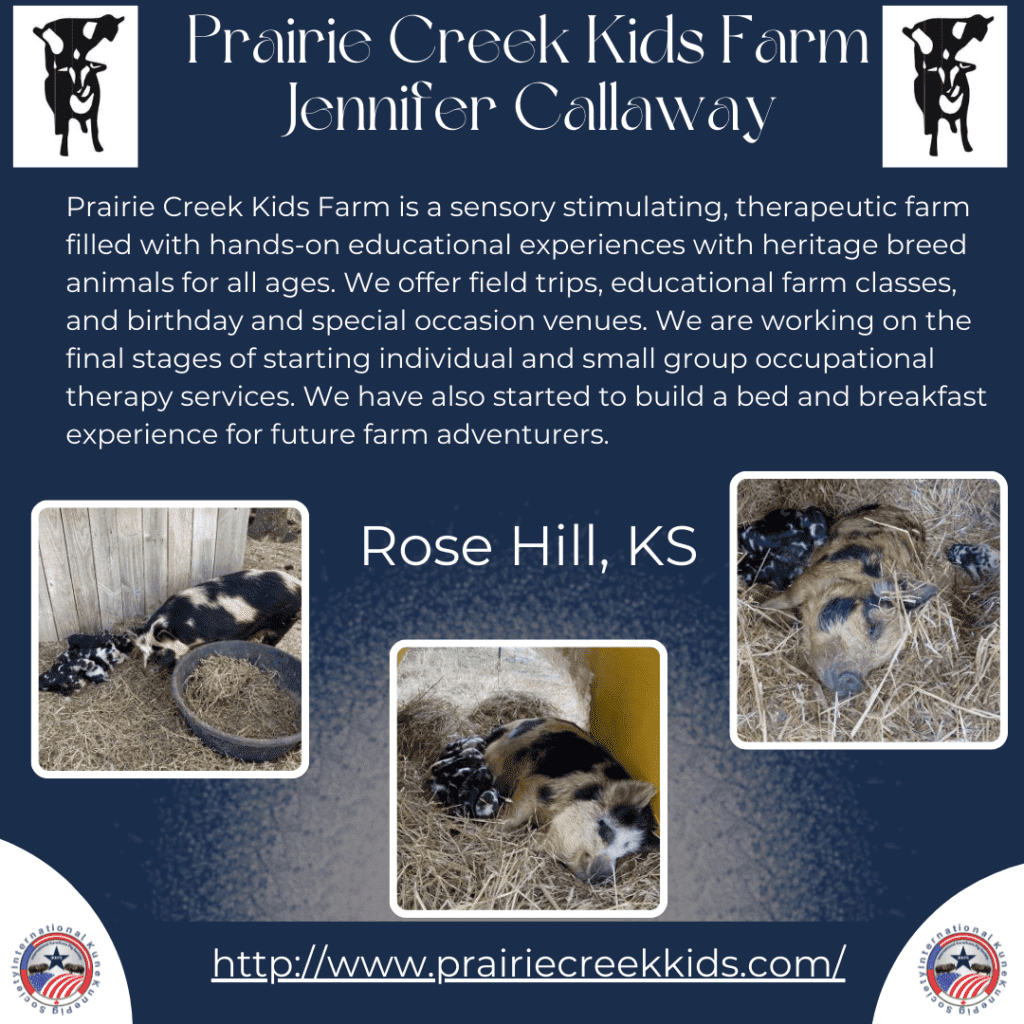 Prairie Creek Kids Farm is a KuneKune Breeder located in Kansas