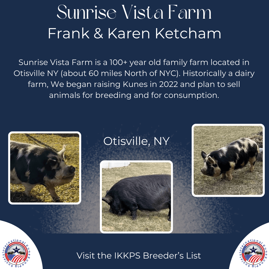 Sunrise Vista Farm is a KuneKune Breeder located in New York. Learn more about this KuneKune Farm.