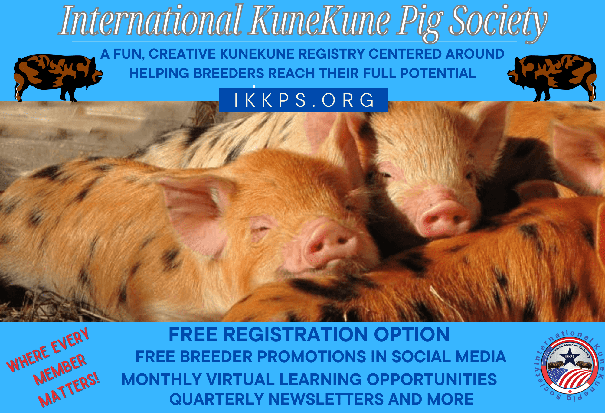 The International KuneKune Pig Society is an official KuneKune Registry
