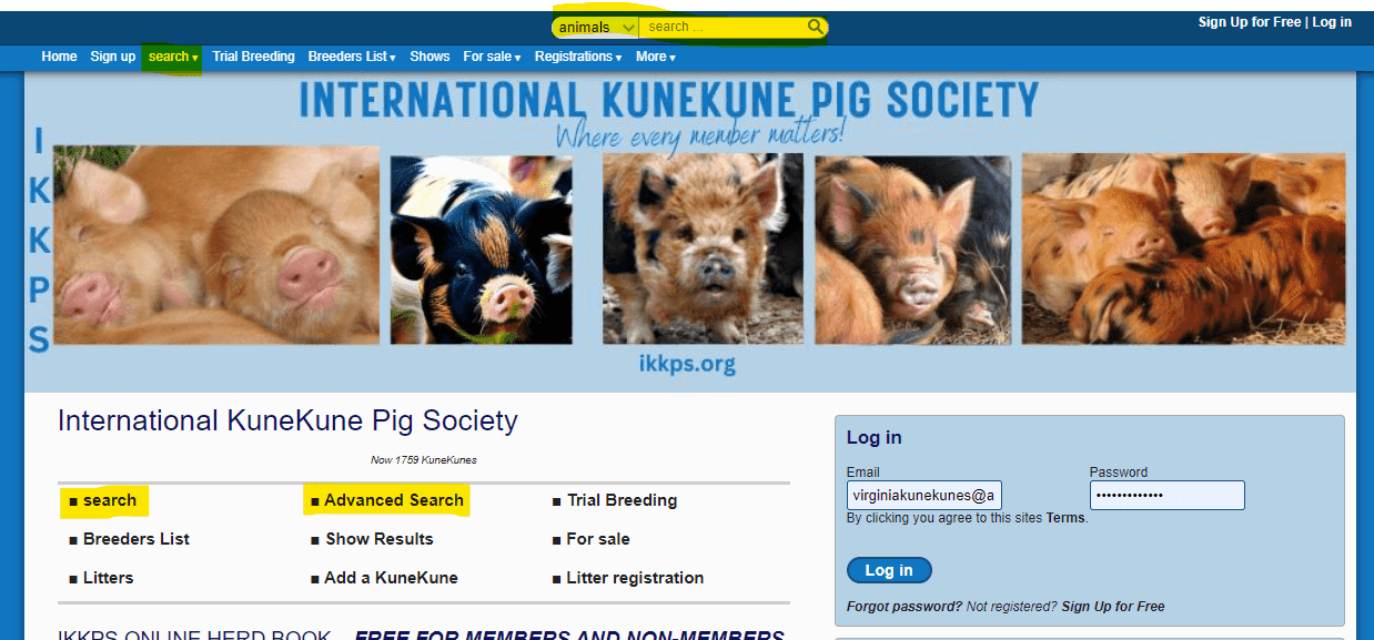 How to do a search in the IKKPS online herd book