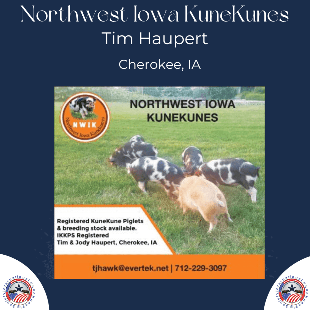 Northwest Iowa KuneKunes is a KuneKune Breeder located in Iowa. KuneKune Farm