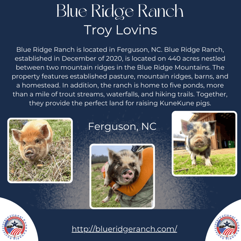 Blue Ridge Ranch is a KuneKune Breeder located in North Carolina