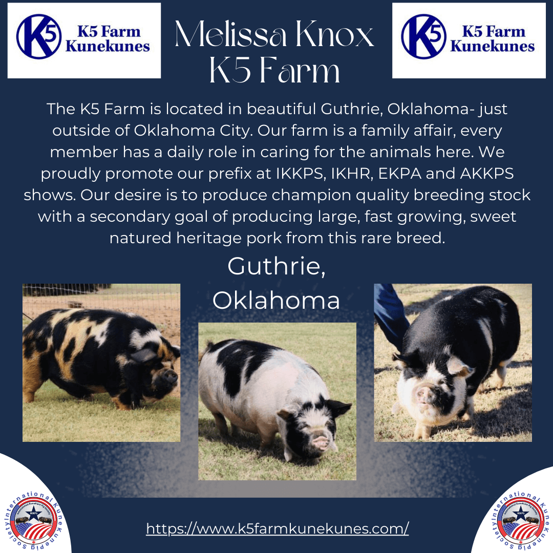 K5 Farm is a KuneKune Breeder in Oklahoma