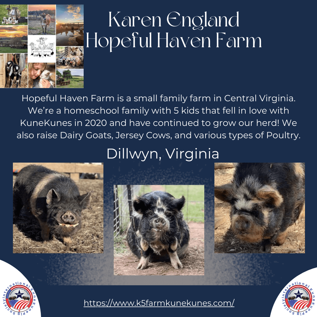 KuneKune Breeder in Virginia