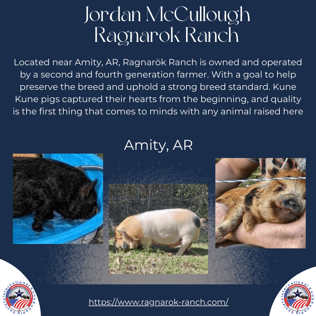 KuneKune Breeder in Arkansas