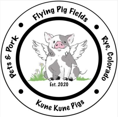 Flying Pig Fields, Jessica Brannam