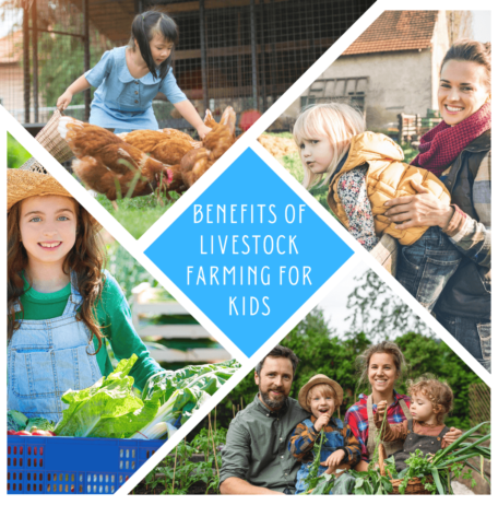 livestock farming for kids