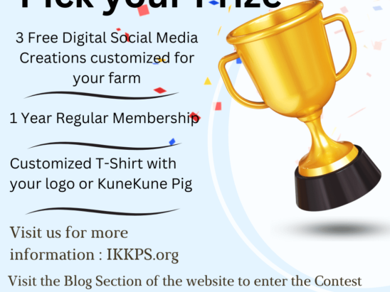 KuneKune contest