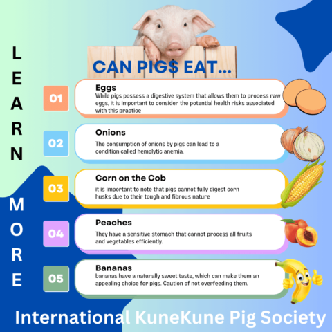 Can pigs eat...get answers to what they can and cannot eat.