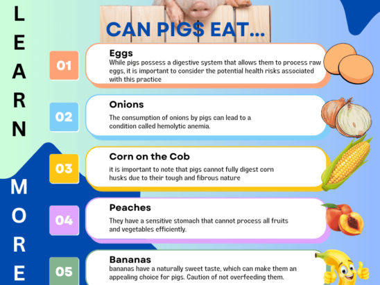 Can pigs eat...get answers to what they can and cannot eat.