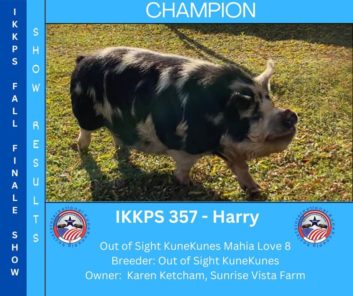Show pig champion awarded