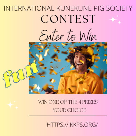 KuneKune Contest