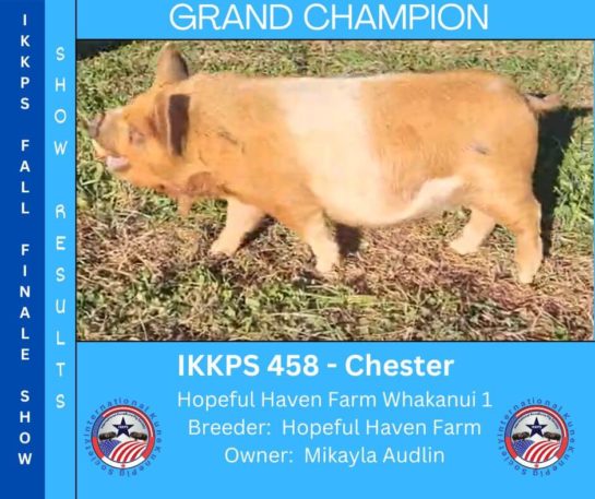 Grand Champion - Chester