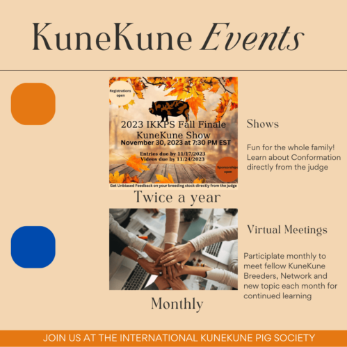 KuneKune Events