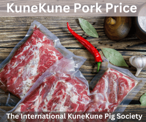 KuneKune Pork Price