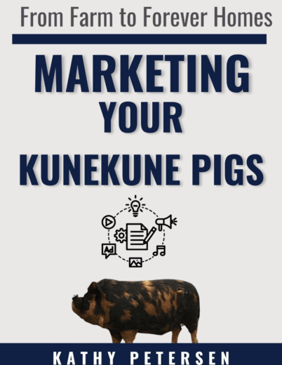 Selling and Marketing KuneKune Pigs