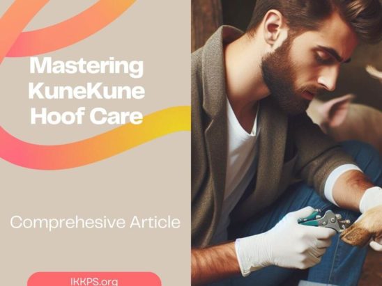 Mastering KuneKune Hoof Care