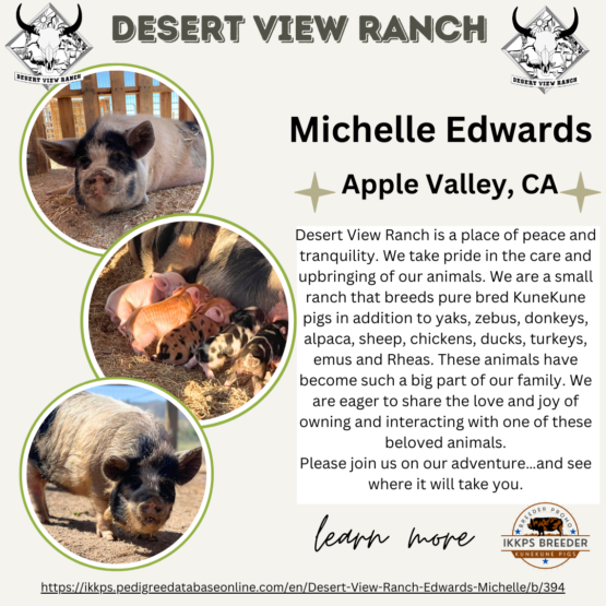 desert view ranch