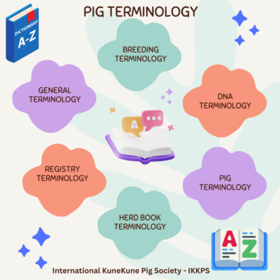 KuneKune Pig Terminology