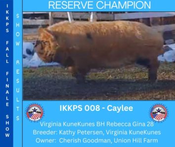 Show pig Reserve Champion