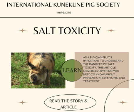Salt Toxicity in pigs
