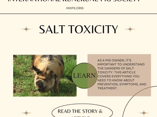Salt Toxicity in pigs