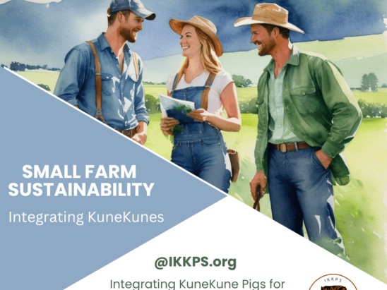 Small Farm Sustainability with integrating KuneKune Pigs