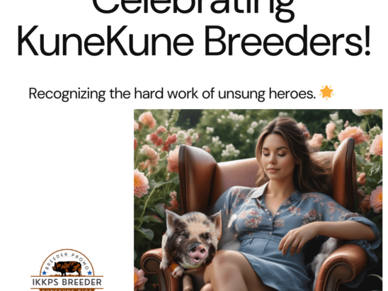 Celebrating KuneKune Breeders
