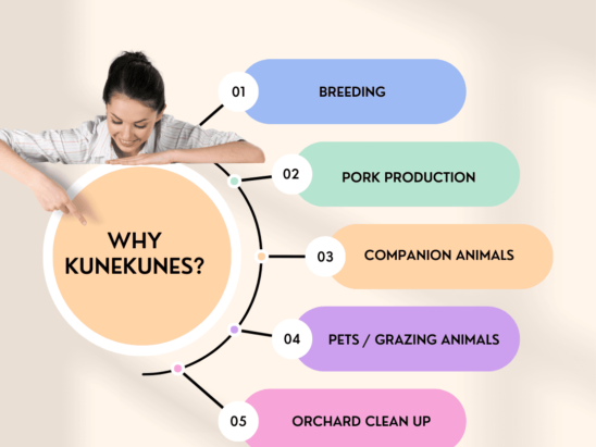 What are KuneKunes used for?