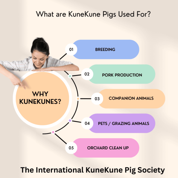 What are KuneKunes used for?