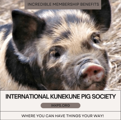IKKPS membership benefits