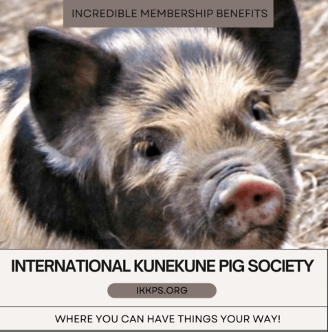 IKKPS membership benefits