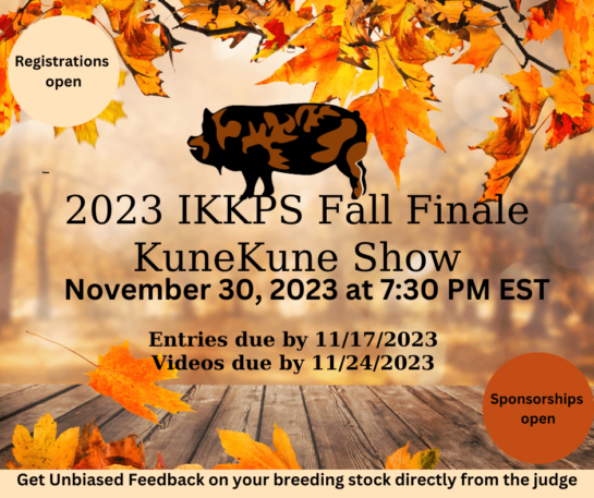IKKPS Fall Finale Pig Show