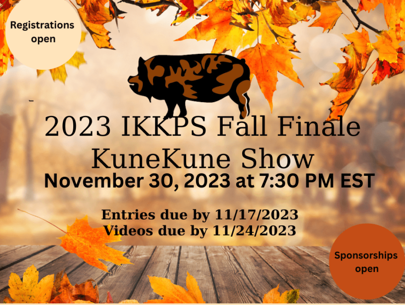 2023 IKKPS Fall Finale KuneKune Pig Show - IKKPS